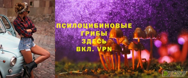 ALPHA PVP Алексеевка