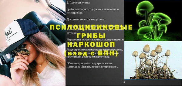эйфоретик Алзамай