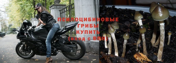 марки nbome Алексин