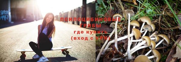 эйфоретик Алзамай