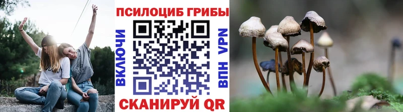Псилоцибиновые грибы Psilocybe  закладка  Анадырь 